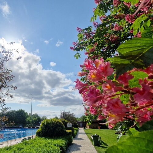 Freibad Bullerteich